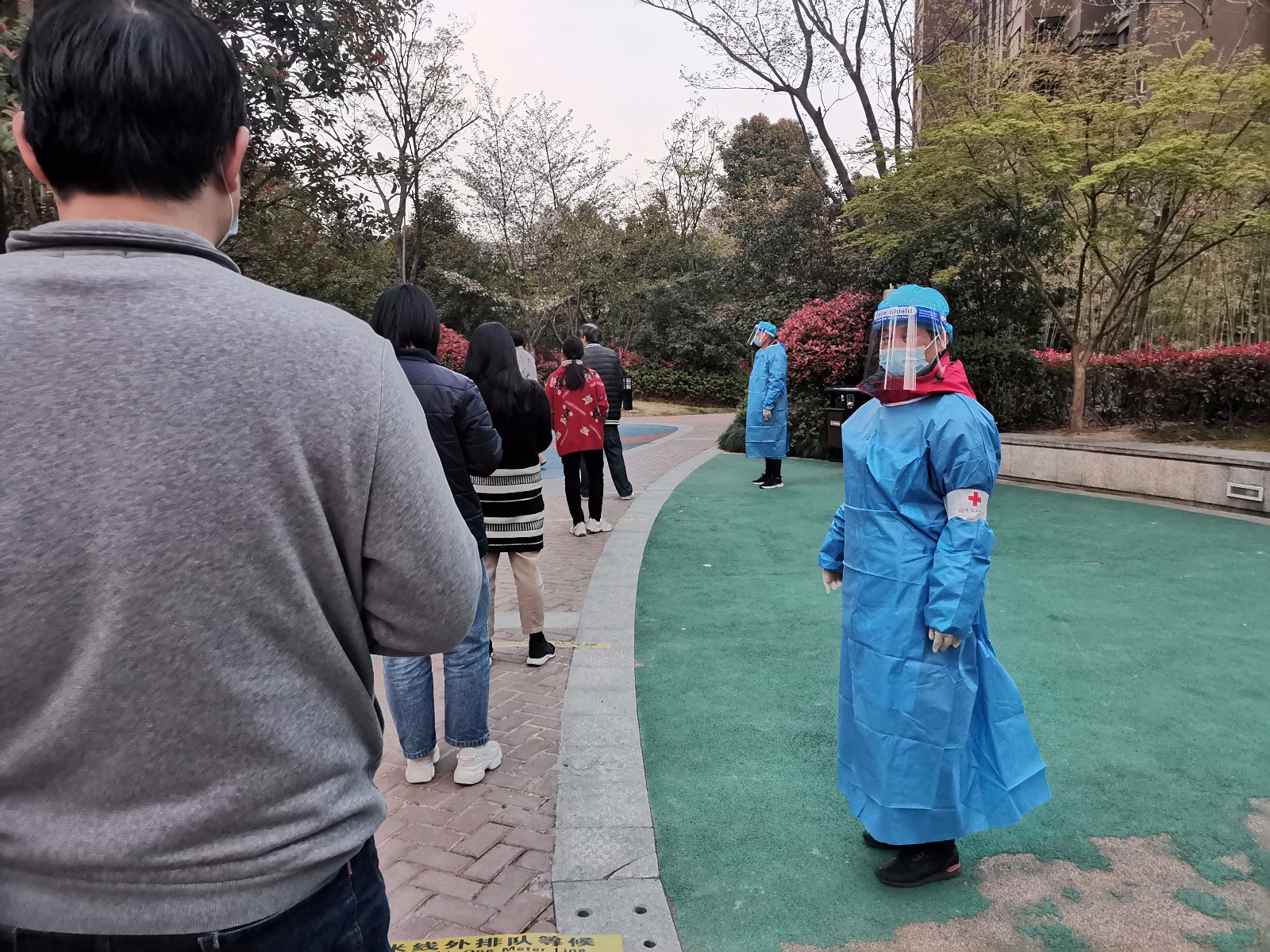 6.jpg