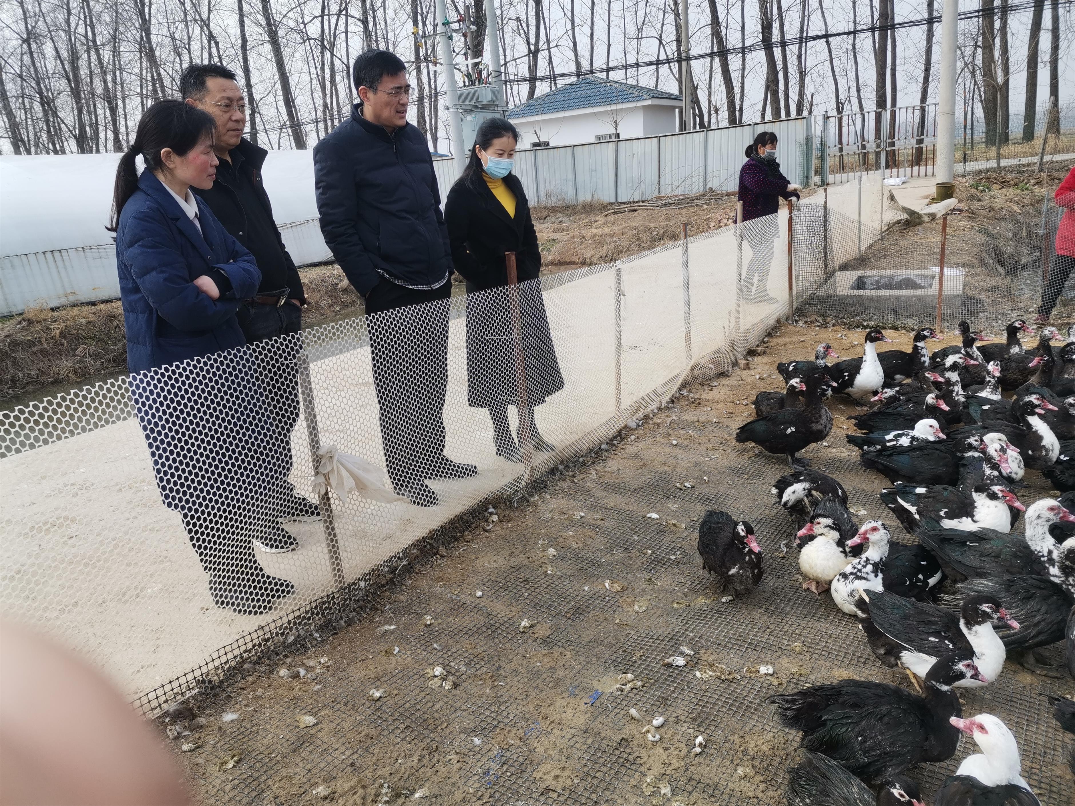 微信图片_20220525094426.jpg
