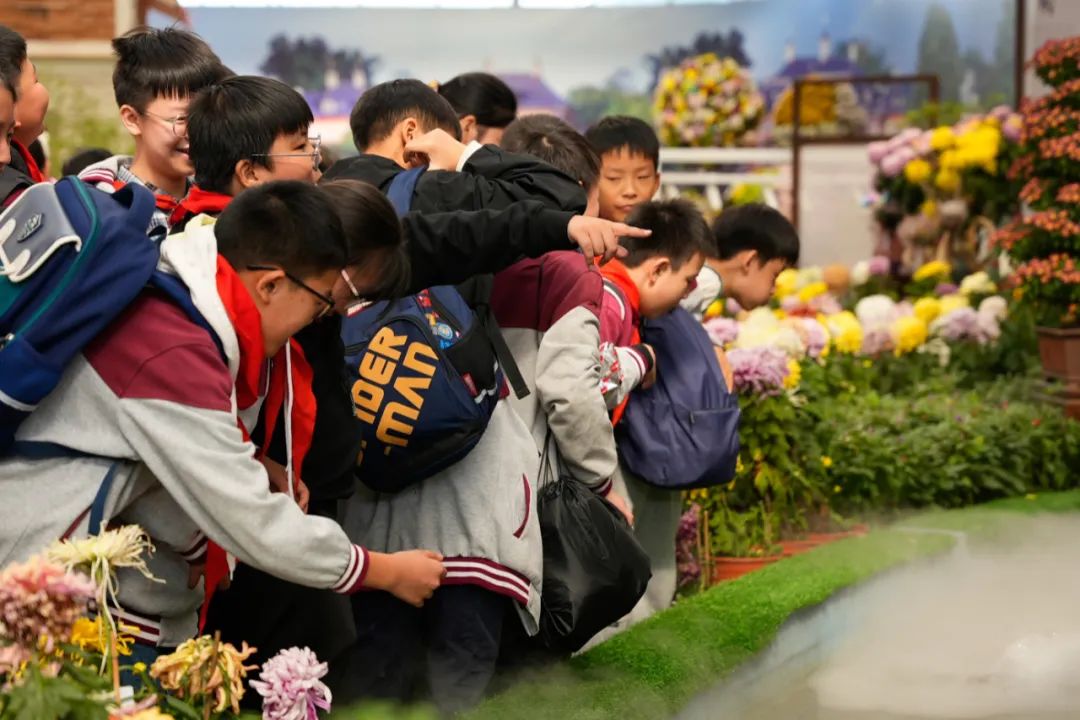 白马湖2.jpg