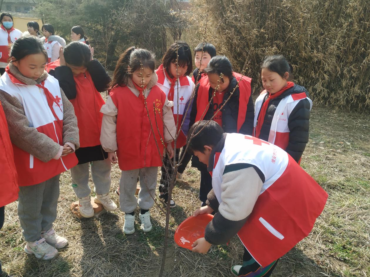 1710265086991957.png 1710265086991957.png