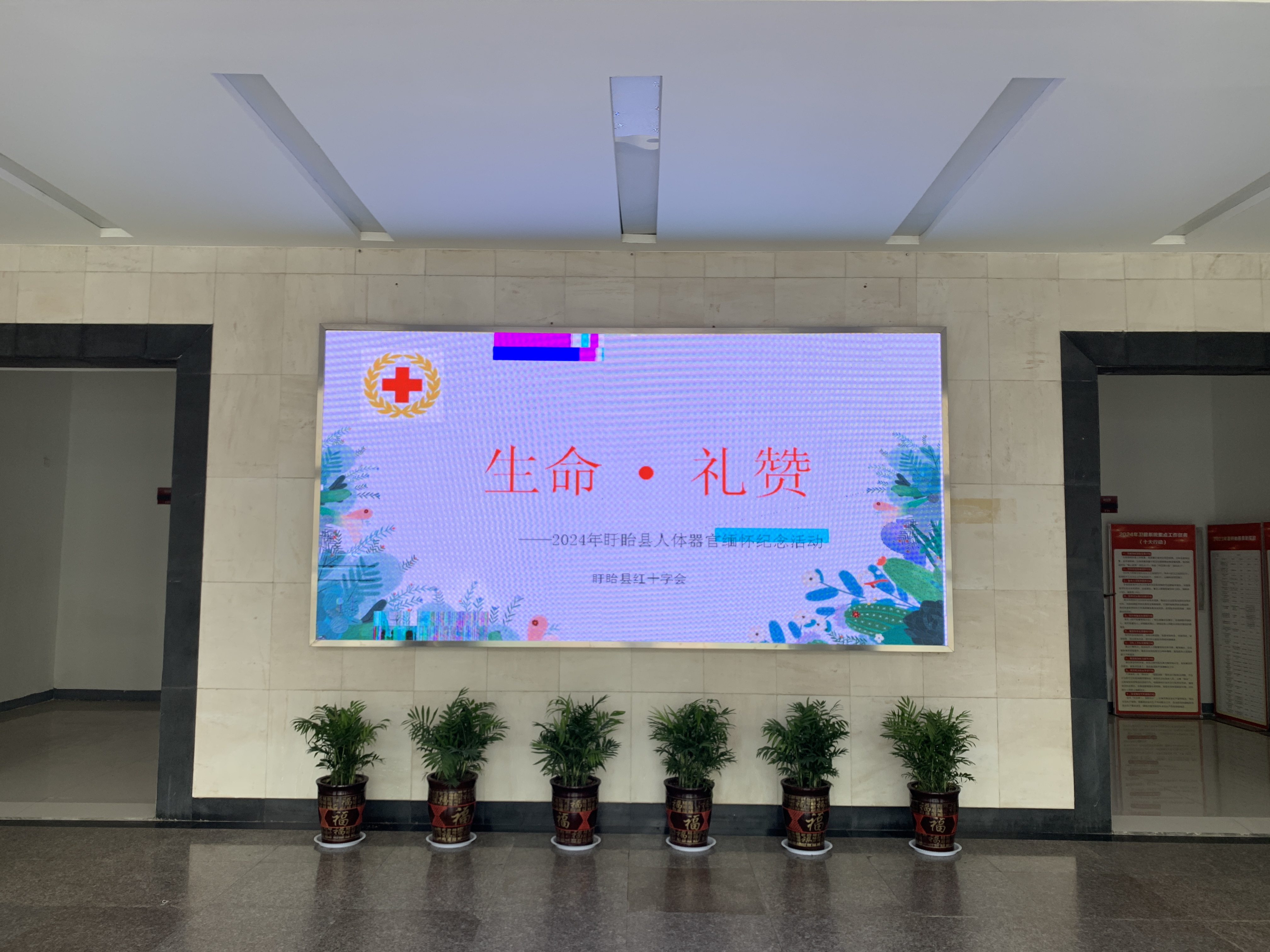 生命礼赞.jpg