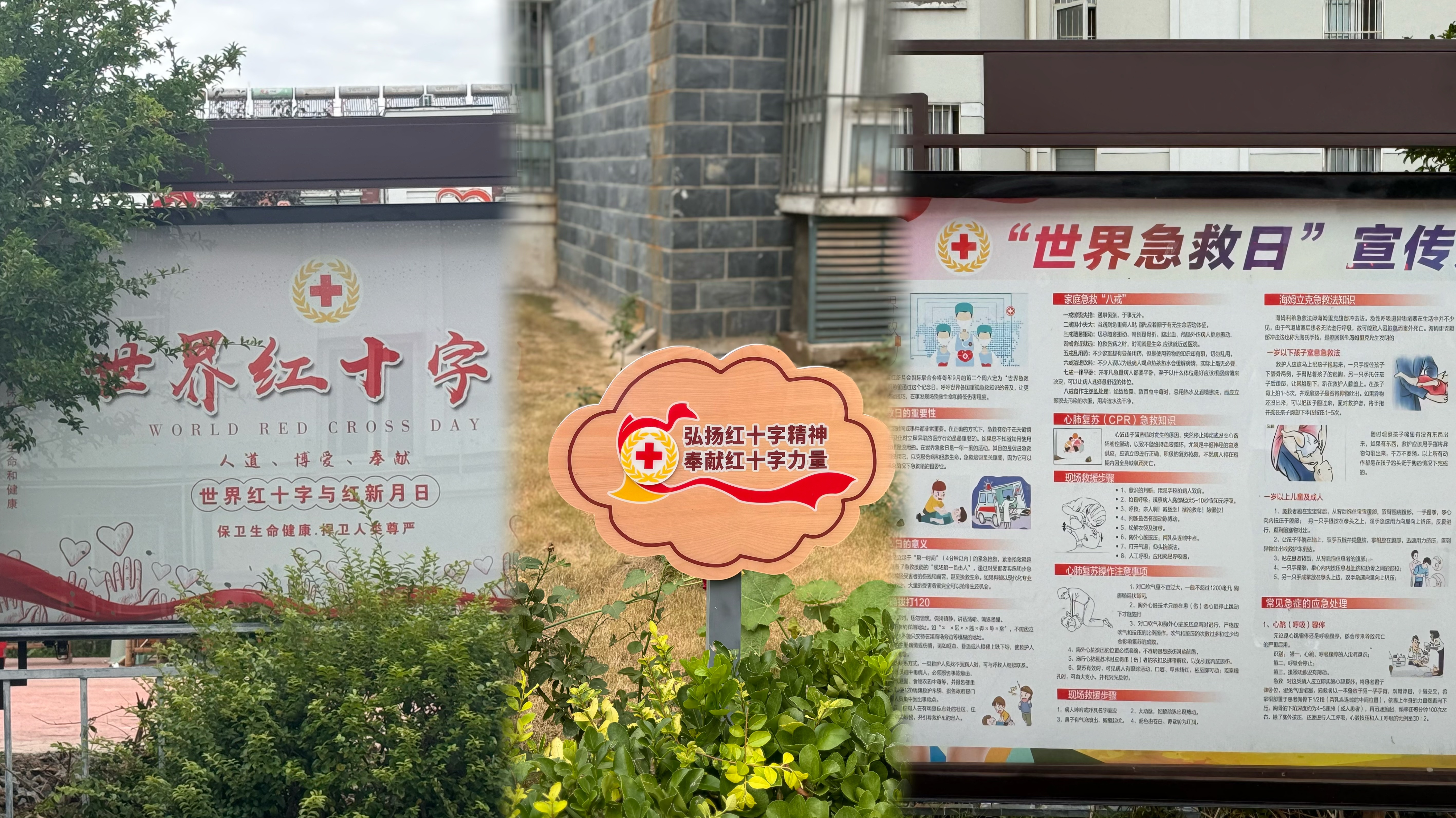 微信图片_20240724095125.jpg